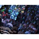 1m schwarzes Holo Paillettenband 6mm Breite - Bastelbedarf
