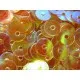 23g transparente orange holo Pailletten 5mm runde flache Pailletten - Bastelbedarf - Leisure-Beads DIY