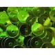 23g grüne Pailletten 5mm runde flache Pailletten - Bastelbedarf - Leisure-Beads DIY
