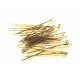20 goldfarben Nietstifte 65mm goldfarben Schmuckdraht mit Kopf - Schmuckzubehör Nietstifte - Leisure-Beads DIY