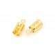 10x goldfarben Endkappe 12x5mm Quetschröhrchen - Schmuckzubehör