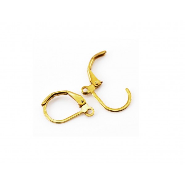 1 Paar goldfarben Brisuren 16x10mm geschlossene Ohrhaken Ohrfedern - Schmuckzubehör - Leisure-Beads DIY