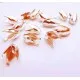 2x rosegoldfarben Perlenkappen 12x10mm Tulpenform Perlen Kappen - Schmuckzubehör rose goldfarben Perlenkappe - Leisure-Beads DIY