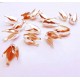 2x rosegoldfarben Perlenkappen 12x10mm Tulpenform Perlen Kappen - Schmuckzubehör rosegoldfarben Perlenkappe