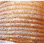 1m rosa Kunstederband 7x4,5mm mit goldfarben Glitzerpunkten - Schmuckzubehör