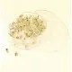 100x silberfarbene Ohrstopper 11x6mm in Box für Ohrstecker - Schmuckzubehör Ohrringe - Leisure-Beads DIY