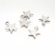Edelstahl 316 Stern Anhänger 10x8mm silberfarben Schmuckanhänger - Schmuckzubehör - Leisure-Beads DIY