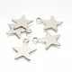 2x Edelstahl Stern Anhänger 17x14mm silberfarben Schmuckanhänger - Schmuckzubehör - Leisure-Beads DIY