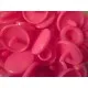 10x Pink KAM Snaps Größe T-5 Größe 20 Plastik Druckknöpfe - Bastelbedarf - Leisure-Beads DIY