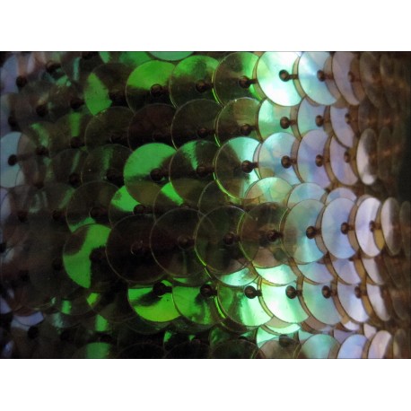 Leisure-Beads - 1m schwarz-grün Holo Paillettenband 6mm Breite - Bastelbedarf